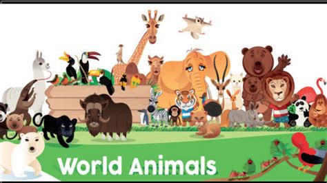zootube|Zoo Tube .